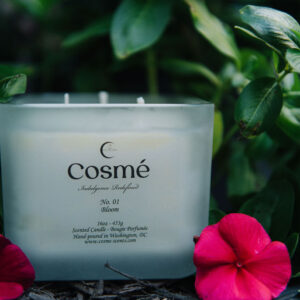 A flickering candle illuminates a flower petal surrounded by lush plants.