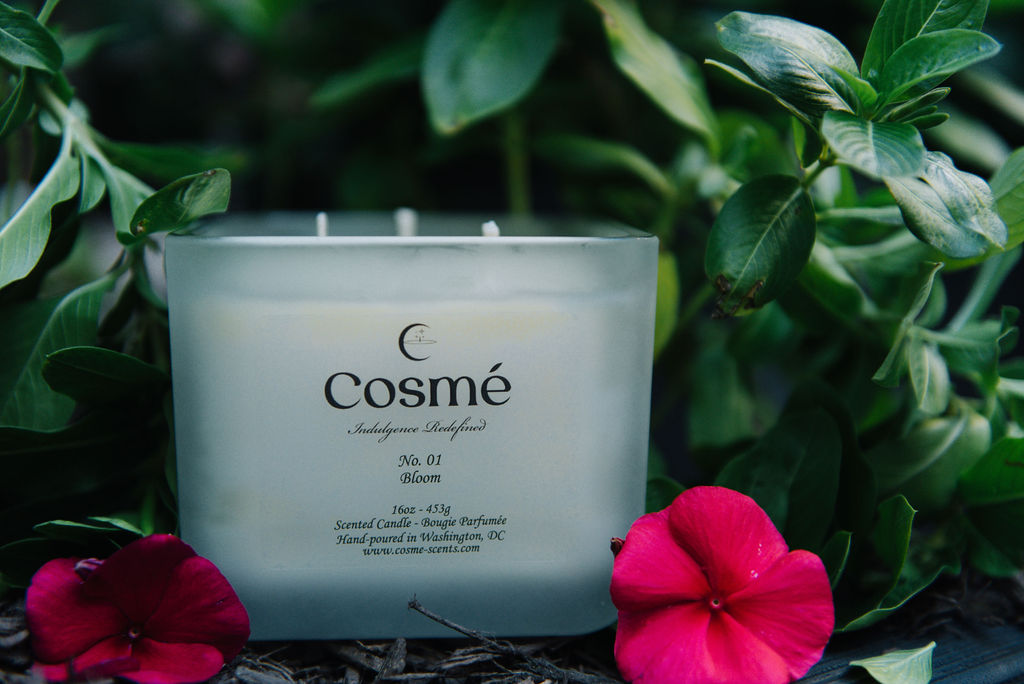 A flickering candle illuminates a flower petal surrounded by lush plants.